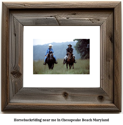 horseback riding near me in Chesapeake Beach, Maryland